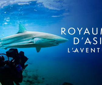 Replay Royaumes d'Asie, l'aventure