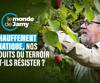 Replay Le monde de Jamy - 17/11/2025