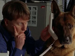 Replay Rex, chien flic - Mission dangereuse