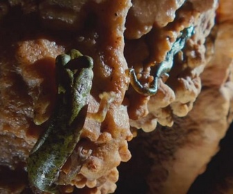 Replay Sardaigne, de roches et de pierres