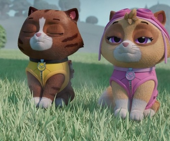 Replay Paw Patrol, la Pat'Patrouille - Mr Hellinger et l'oison