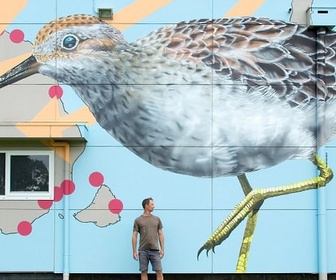 Replay Australie, le street art s'invite sur les silos - GEO Reportage