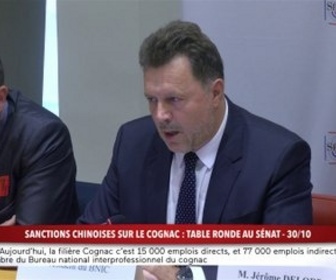 Replay 100% Sénat - Sanctions chinoises sur le cognac : une table ronde au Sénat