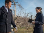Replay Elementary - S3 E23 - L'effondrement des colonies