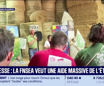 Replay Good Morning Business - Sécheresse : la FNSEA réclame un choc de réactivité