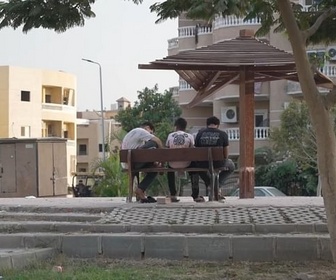 Replay ARTE Journal - Egypte : colère contre le massacre des arbres