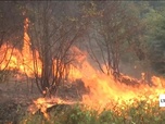 Replay Info Éco - Méga-incendies au Brésil : les récoltes de sucre menacées ?