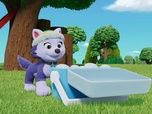 Replay Paw Patrol, la Pat'Patrouille - Des chèvres en danger