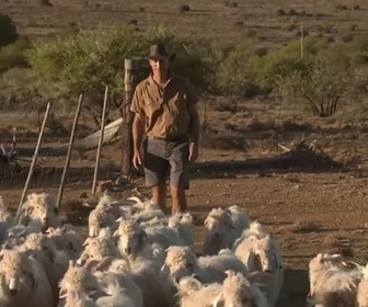 Replay Invitation au voyage - 22/10/2024 - L'Afrique du Sud raccommodée par le mohair