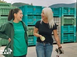Replay Les reines du volant - S5E16 - Episode 16
