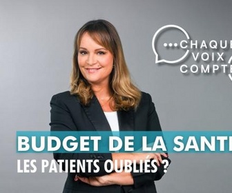 Replay Chaque voix compte - Budget de la santé : les patients oubliés ?