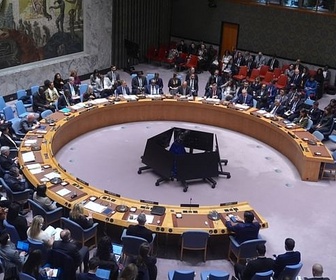 Replay ARTE Journal - Plan de paix à Gaza : feu vert de l'ONU