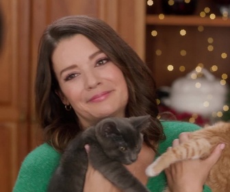 Replay Neuf chatons pour Noël