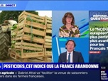 Replay Pesticides: l'indice européen est-il plus pertinent ou plus avantageux pour les Français? BFMTV répond à vos questions