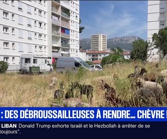 Replay BFM Première prématinale - Focus Régions - 02/06