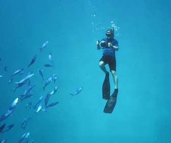 Replay Paradis aquatiques - Les derniers mondes sauvages