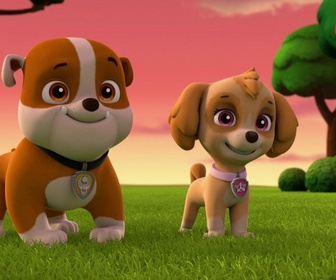 Replay Paw Patrol, la Pat'Patrouille - Sauvetage extrême : Mystérieuses disparitions