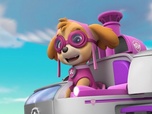 Replay Paw Patrol, la Pat'Patrouille - Jérémie