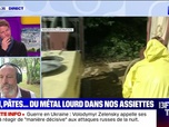 Replay Parlons info ! - Pain, pâtes.. du métal lourd dans nos assiettes - 06/06