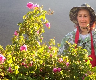 Replay La Bulgarie, le pays des roses