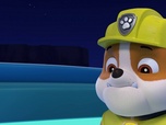 Replay Paw Patrol, la Pat'Patrouille - S08 E26 - Picote-Pattes le fantôme