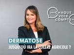 Replay Chaque voix compte - Dermatose : jusqu'où ira la colère agricole ?