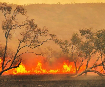 Replay Critical Kingdoms: Stories of Hope - 24/11/2025