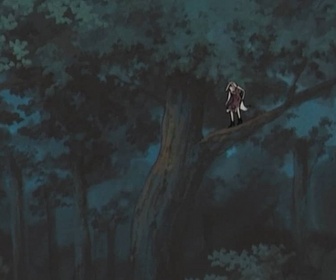 Replay Naruto - S6 E8 - Enfin une mission de rang S !