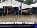 Replay 20H BFM - Pluies à Fontainebleau: le championnat national des jeunes poneys annulé