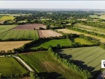 Replay Élément Terre, le reportage - L'agriculture sans chimie redonne vie aux campagnes françaises