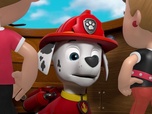 Replay Paw Patrol, la Pat'Patrouille - Eddie et Emmy se multiplient