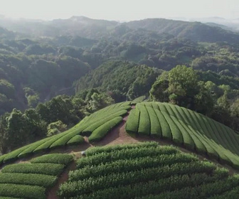 Replay Les dossiers d'ICI - 30/12/2025