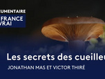 Replay La France en vrai - Occitanie