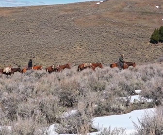 Replay Seuls face à l'Alaska - S8E9 - Sans audace, pas de gloire