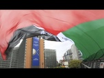Replay Élections européennes 2024 : la guerre à Gaza s'invite dans la campagne électorale