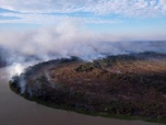 Replay Focus - Brésil : le Pantanal, sanctuaire de la biodiversité ravagé par des incendies records