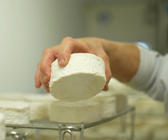 Replay Élément Terre - Le camembert, fromage emblématique en voie d'extinction