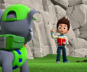 Replay Paw Patrol, la Pat'Patrouille - Drôles d'oiseaux
