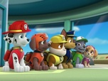 Replay Paw Patrol, la Pat'Patrouille - Un singe en liberté