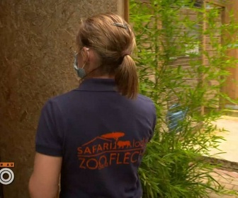 Replay Une saison au zoo - S14 E25