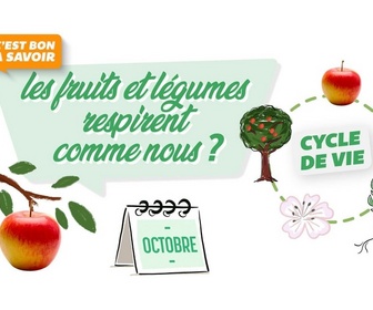 Replay C'est bon à savoir - Les fruits et légumes respirent comme nous ?