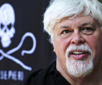 Replay Élément Terre - Le fondateur de l'ONG Sea Shepherd sous la menace d'une extradition vers le Japon