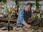 Replay Jamie Oliver : repas simples pour tous les jours