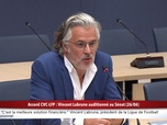 Replay 100% Sénat - Financiarisation du foot : Vincent Labrune, président de la LFP auditionné