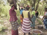 Replay Ces histoires qui nous inspirent - Kadoua et les cueilleuses de karité burkinabè