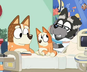 Replay Bluey - 11/11/2025