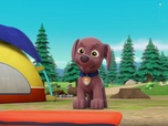 Replay Paw Patrol, la Pat'Patrouille - Pilotes de haut-vol