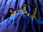 Replay Scooby-Doo et la colonie de la peur
