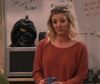 Replay The Big Bang Theory - S9E24 - Convergence, confluence, méfiance