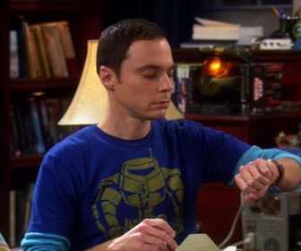 Replay The Big Bang Theory - S3E2 - Le grillon des champs